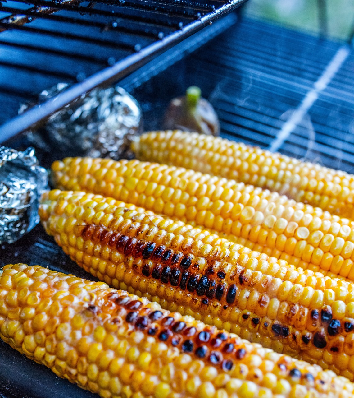 Cooking on Grill EN FR DE BG
