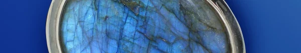 Labradotite Package Customer Risk Management Survey – Dedicated Surveys Hosting